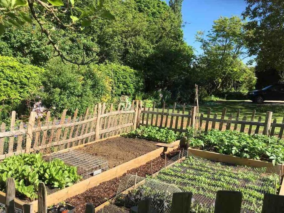 Masons Cottage, An Idyllic Retreat In An Area Of Outstanding Beauty, Close To Blenheim Palace, Oxford & The Cotswolds Stonesfield 외부 사진